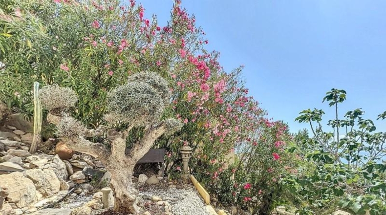 Alicante - Benitachell - 1163m2