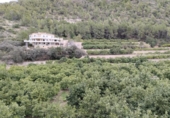 Xalet independent amb terreny en venda a la España, l'Atzúbia, ref.: TR157143 foto