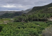 Xalet independent amb terreny en venda a la España, l'Atzúbia, ref.: TR157143 foto