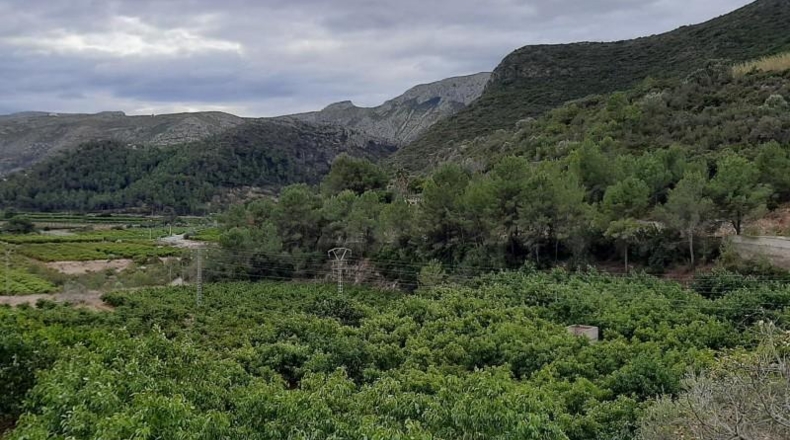 Alicante - Adsubia - 539m2