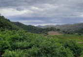 Xalet independent amb terreny en venda a la España, l'Atzúbia, ref.: TR157143 foto