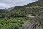 Xalet independent amb terreny en venda a la España, l'Atzúbia, ref.: TR157143 foto
