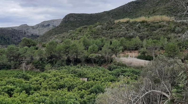 Alicante - Adsubia - 539m2