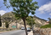 Parcel·la urbanitzable en venda a la España, Archena, ref.: TR128304 foto