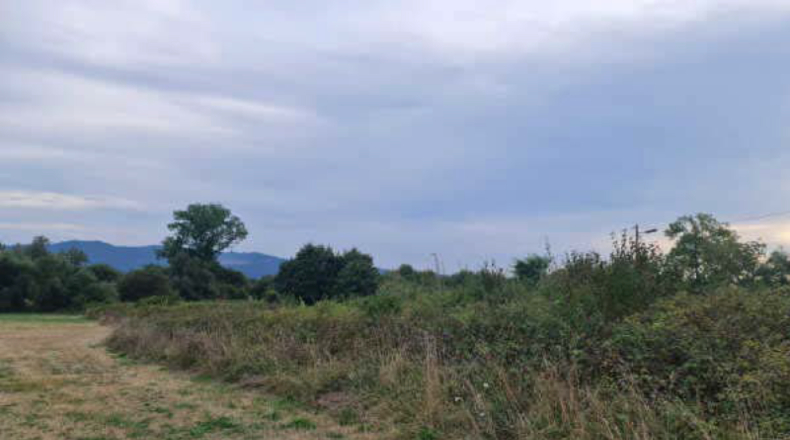 Asturias - Castiello (Lugo) - 77133m2
