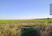 Terreny no urbanitzable en venda a la España, Huelva, ref.: TR247202 foto