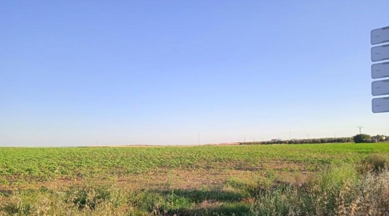 Huelva - Huelva - 69777m2