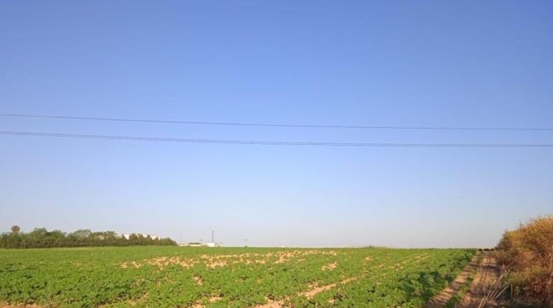 Huelva - Huelva - 69777m2
