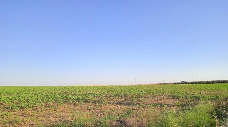 Huelva - Huelva - 69777m2