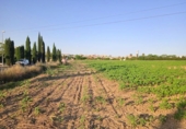 Terreny no urbanitzable en venda a la España, Huelva, ref.: TR247202 foto