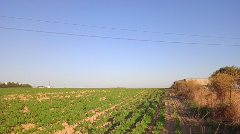 Huelva - Huelva - 69777m2
