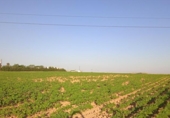 Terreny no urbanitzable en venda a la España, Huelva, ref.: TR247202 foto
