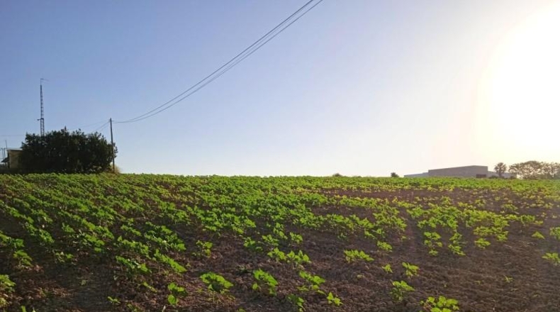 Huelva - Huelva - 69777m2