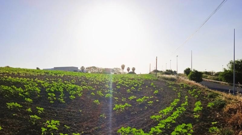 Huelva - Huelva - 69777m2