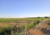Terreny no urbanitzable en venda a la España, Huelva, ref.: TR247202 foto