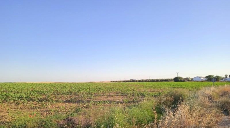 Huelva - Huelva - 69777m2