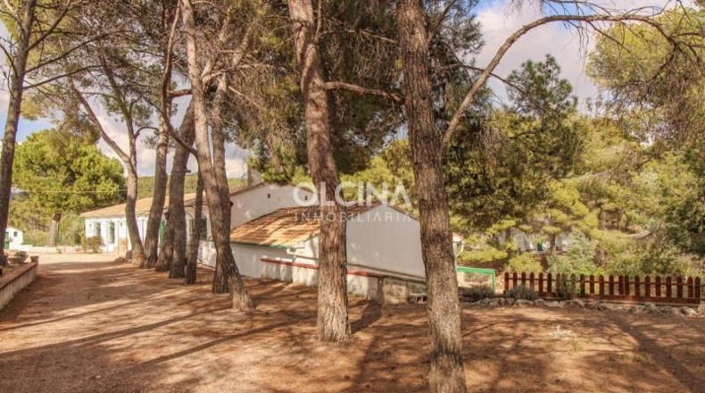 Alicante - Ibi - 745000m2