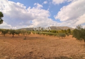 Casa de campo con terreno en venta en la España, Ibi, ref: TR161738 foto
