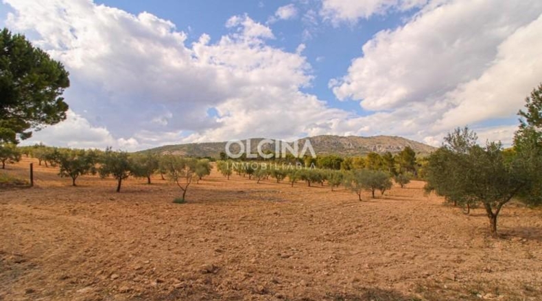 Alicante - Ibi - 745000m2