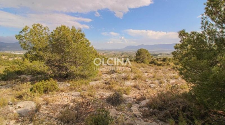 Alicante - Ibi - 745000m2