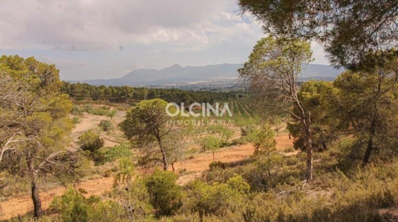 Alicante - Ibi - 745000m2