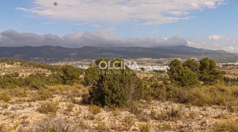 Alicante - Ibi - 745000m2