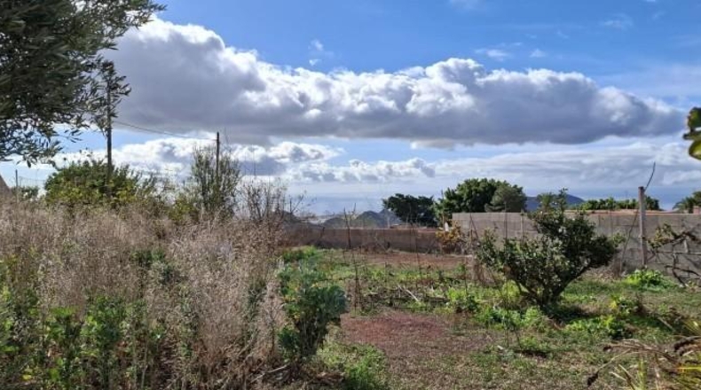 Santa Creu de Tenerife - Arona - 2000m2