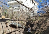 Casa de camp amb terreny en venda a la España, Arona, ref.: TR380242 foto