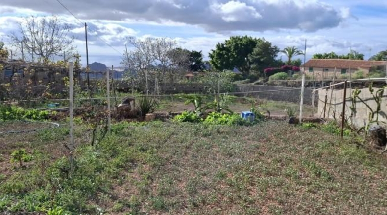 Santa Creu de Tenerife - Arona - 2000m2