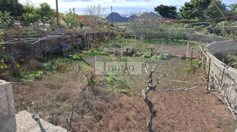 Santa Creu de Tenerife - Arona - 2000m2