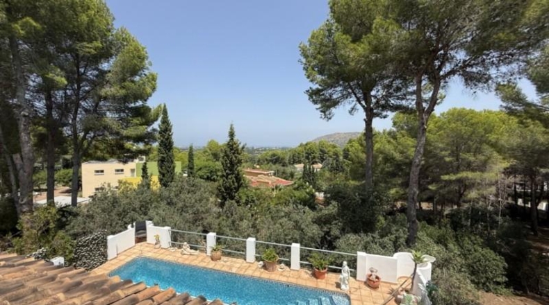Alicante - Pedreguer - 6427m2