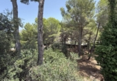 Xalet independent amb terreny en venda a la España, Pedreguer, ref.: TR382322 foto