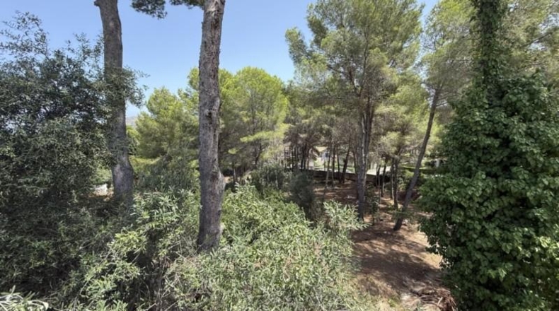 Alicante - Pedreguer - 6427m2