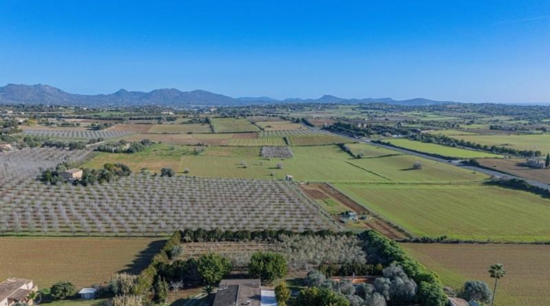Balearic Islands - Manacor - 7224m2
