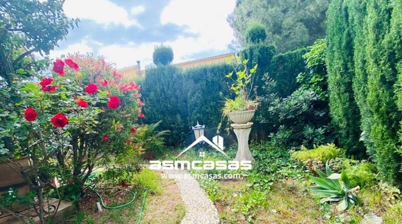 Castellón - Benicasim - 400m2