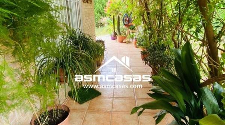 Castellón - Benicasim - 400m2