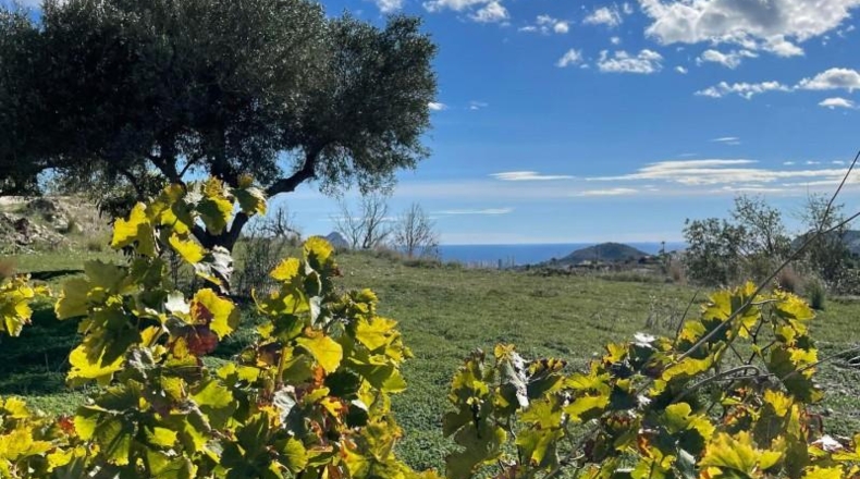 Alicante - Benisa - 3854m2