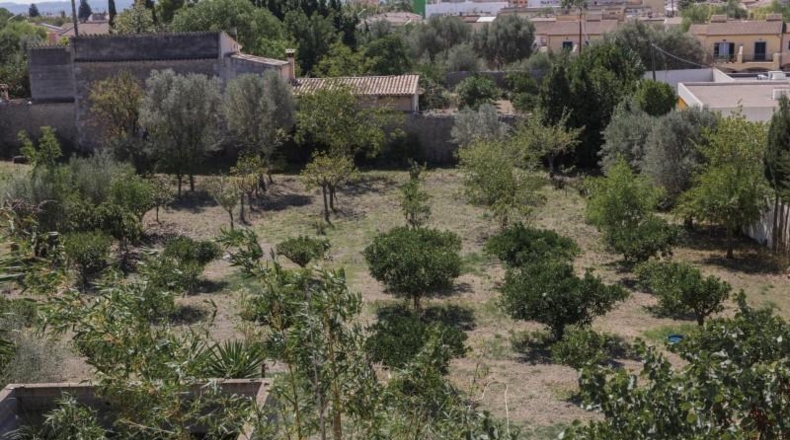Balearic Islands - Inca - 7500m2