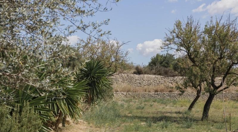 Balearic Islands - Inca - 7500m2