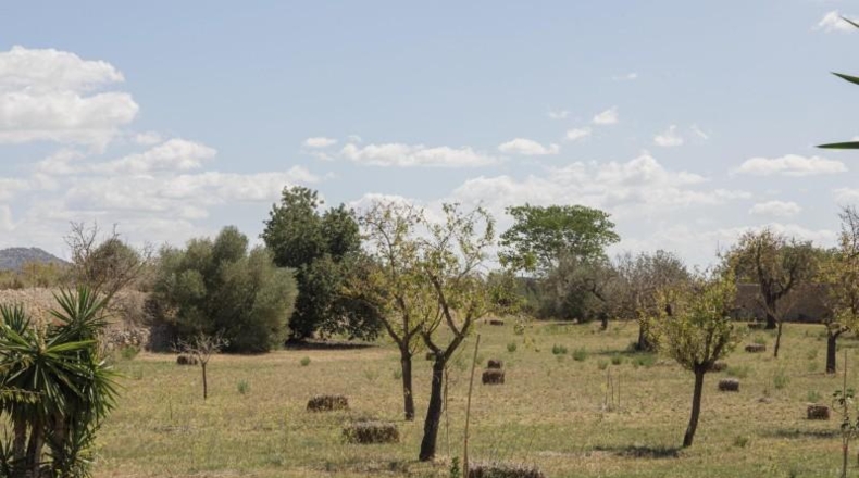 Balearic Islands - Inca - 7500m2