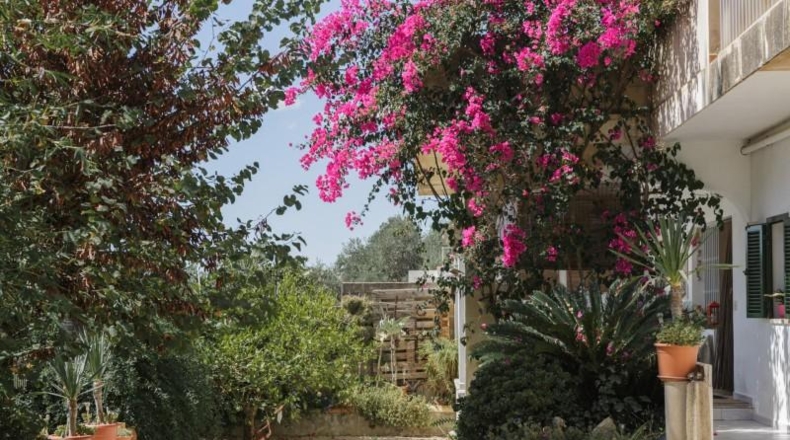 Balearic Islands - Inca - 7500m2