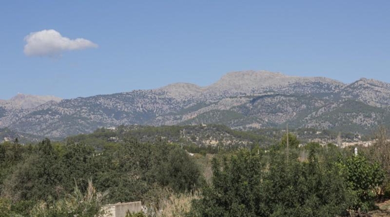 Balearic Islands - Inca - 7500m2
