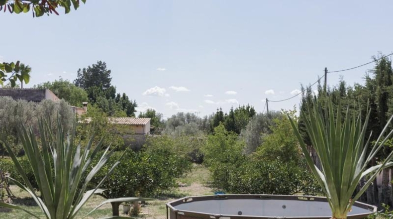 Balearic Islands - Inca - 7500m2