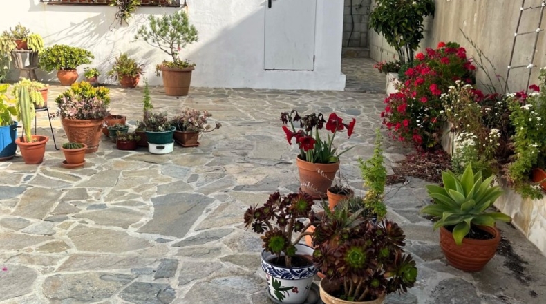 Cadiz - Algeciras - 2300m2