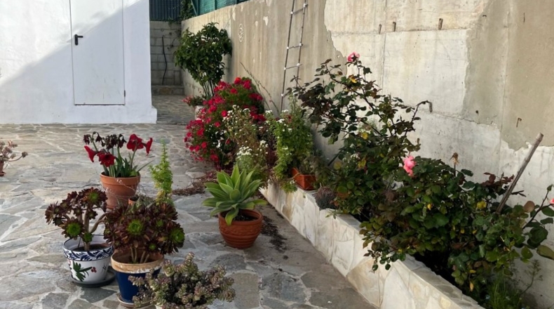 Cadiz - Algeciras - 2300m2