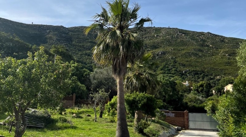 Cadiz - Algeciras - 2300m2