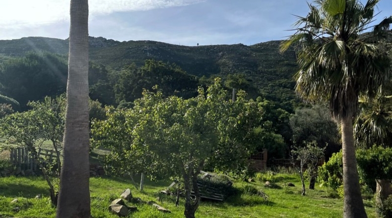Cadiz - Algeciras - 2300m2