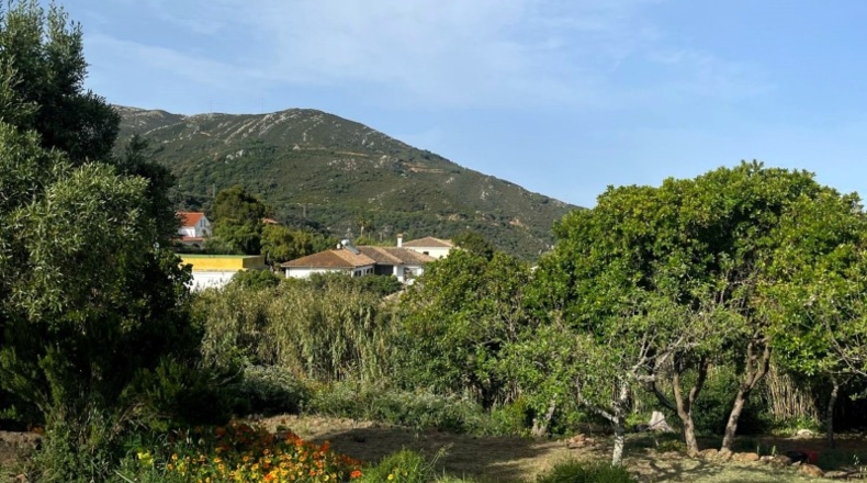 Cadiz - Algeciras - 2300m2