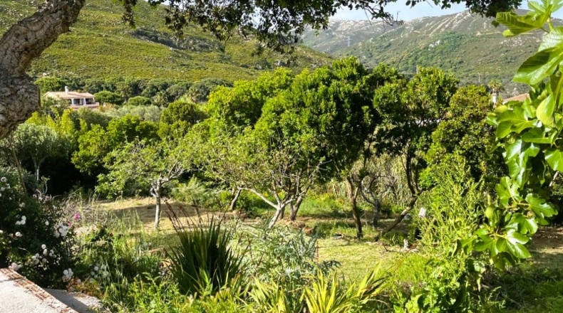 Cadiz - Algeciras - 2300m2