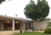 Xalet independent amb terreny en venda a la España, Elx, ref.: TR144066 foto
